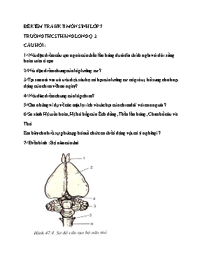 Đề kiểm tra học kì II môn Sinh học Lớp 7 - Trường THCS Thăng Long (Có đáp án)